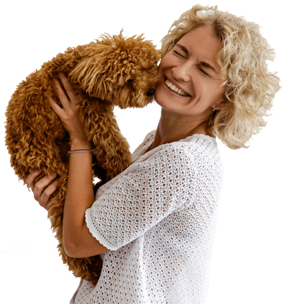 transporte de animais em Vila Real na Circular Animal